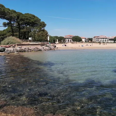 Aux Papyrus * La Londe-les-Maures